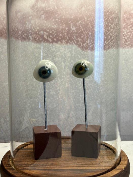 Prothese (3) - Prothese wonderkamer, Antiek en Kunst, Curiosa en Brocante