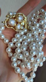 Perle - Plaqué or - Collier ras du cou - Perle Majorque et, Nieuw