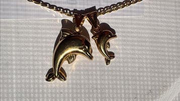 Ketting met hanger - 18 karaat Geel goud