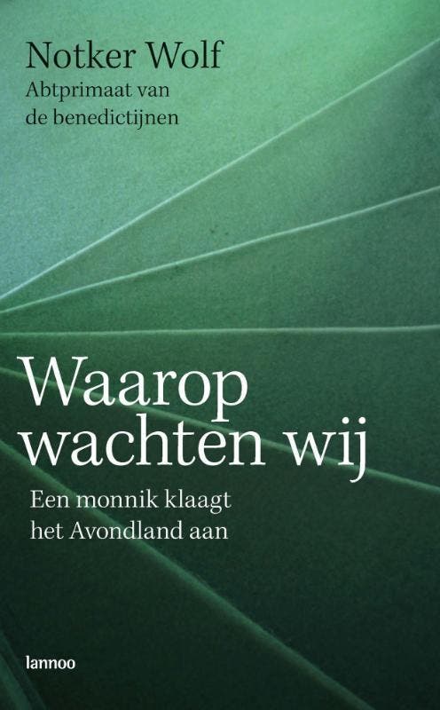Waarop wachten wij 9789020978384 Naomi Wolf, Boeken, Godsdienst en Theologie, Gelezen, Verzenden