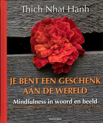 Je bent een geschenk aan de wereld 9789088400612, Verzenden, Gelezen, Thich Nhat Hanh
