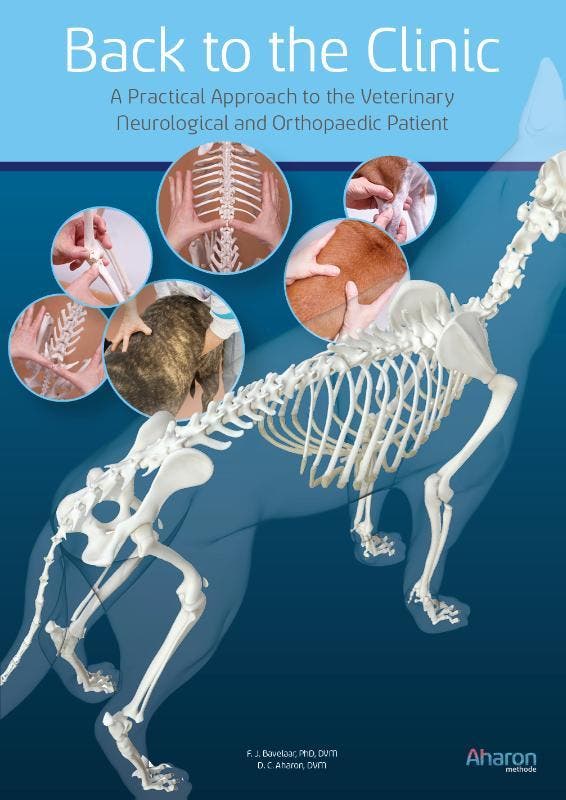 Back to the Clinic 9789083059709 F. J. Bavelaar, Boeken, Taal | Engels, Gelezen, Verzenden