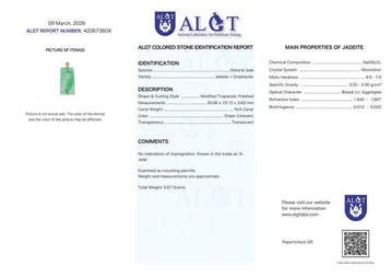 ALGT-gecertificeerd - Grote en meesterlijke natuurlijke