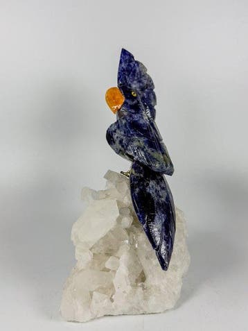 NO RESERVE PRICE - Fraai stuk - Handgesneden blauwe papegaai