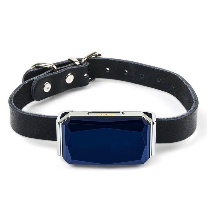 DrPhone Z9 - GPS Tracker voor Honden en Katten - 25-38 cm, Huis en Inrichting, Woonaccessoires | Overige, Nieuw, Verzenden