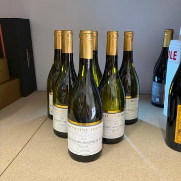 2018 Domaine Rion Les Millottes - Bourgogne Hautes Cotes, Nieuw