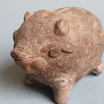 Spaarpot - varken - Aardewerk - Majapahit spaarvarken