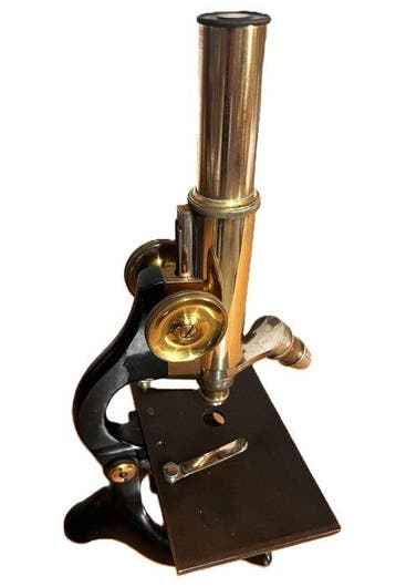 Monocular compound microscope - 105487 - 1900-1910 -