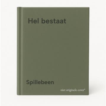 Hel bestaat 9789022309438 Spillebeen, Boeken, Verzenden, Gelezen, Spillebeen