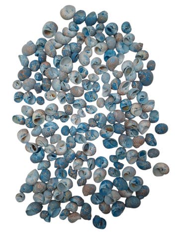 Pulla Muttai Schelpen Blauw 500 gram, Nieuw