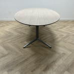ovale vergadertafel 260x130 cm, midden eiken - grijs, Gebruikt, Bureau