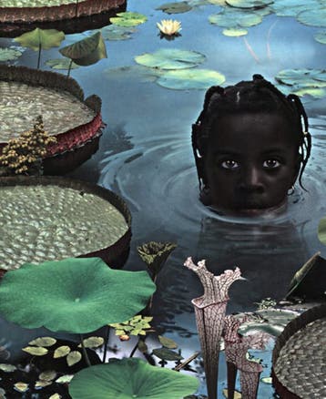 Ruud Van Empel - 25 Years Of Photo Works 1995-2020 |, Verzenden, Nieuw