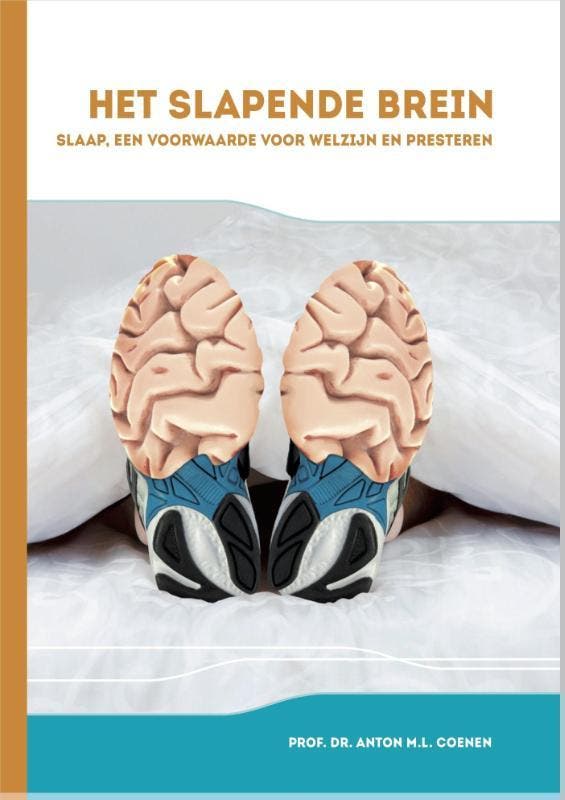 Het slapende brein 9789054723189 Anton Coenen, Boeken, Gezondheid, Dieet en Voeding, Zo goed als nieuw, Verzenden