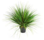 Kunstplant Onion Gras Groen 65 cm, Huis en Inrichting, Verzenden