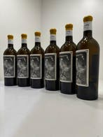 2024 Oxer Bastegieta, Kalamity Blanco - Rioja DOC - 6