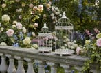 Cage à oiseaux (2) - Acier
