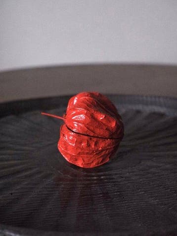 Ornement décoratif - Japon - Laque sèche Hozuki