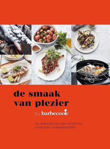 De smaak van plezier 9789464202403 Barbecook, Verzenden, Gelezen, Barbecook