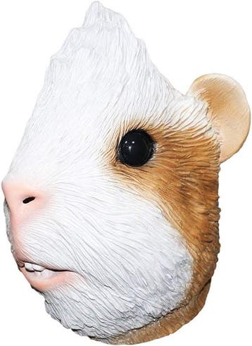 Hamster masker, Verzenden