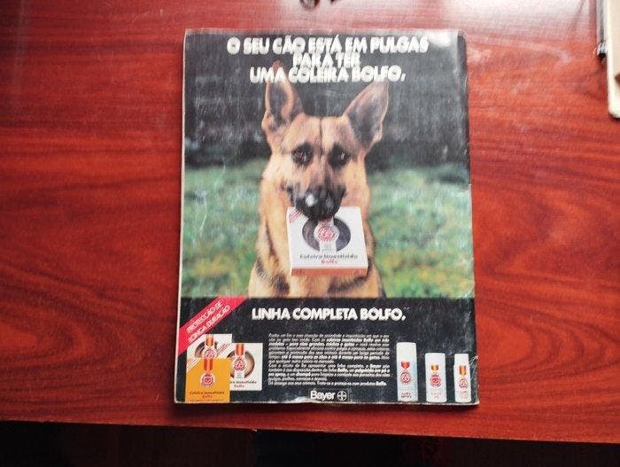 Panini Animais Familiares - 1 Album complet - Good (GD), Collections, Autocollants