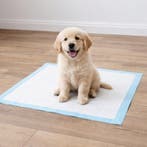 Puppy pads XXL - voordeelverpakking - 250 stuks, Dieren en Toebehoren, Verzenden, Nieuw
