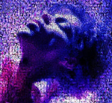 David Law - Purple King- Prince - Format XL 60x60