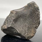 Eucriet van de VESTA-asteroïde, NWA 13940, met krimpkorst,