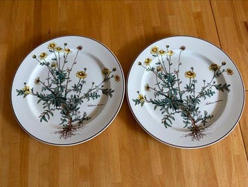 Villeroy & Boch - Tafelservies - Porselein, Antiek en Kunst