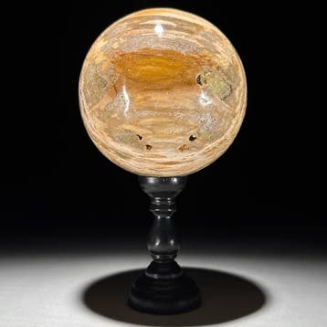 Prachtig paar versteend hout - Gefossiliseerd hout - Spheres
