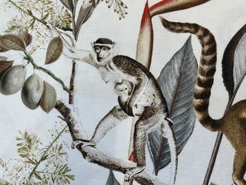 Geen reserveprijs!! Lemurenjungle: een botanisch avontuur
