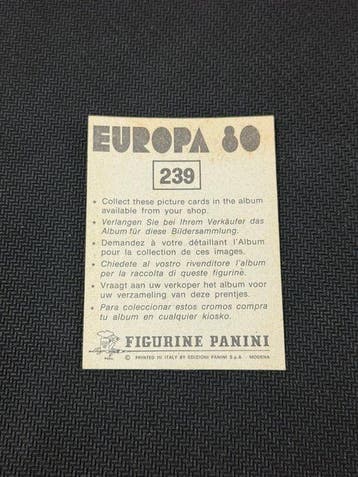 1980 Panini Europa 80 Badge Portugal Sticker - Presque, Collections