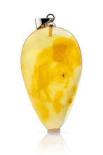 Verzamelaar Baltisch Amber Mosquito Hanger – Gedetailleerde
