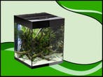 Aquael Glossy cube 50 zwart aquarium (Glossy aquarium serie), Verzenden