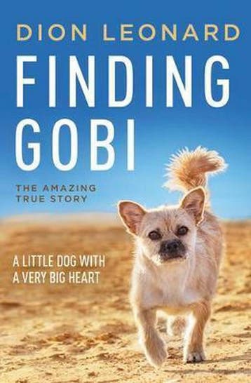 Finding Gobi 9780718098575 Dion Leonard, Verzenden, Dion Leonard