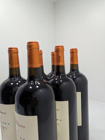 2020 Bodegas Valduero, Una Cepa - Ribera del Duero - 6, Nieuw
