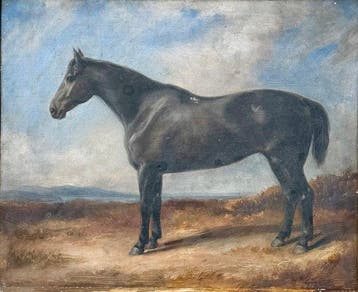 John Constable (1776-1837), Naar - Black horse in a