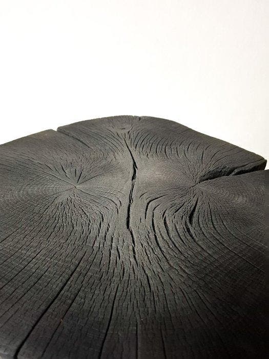 THE FOREST Art & Woodworking Studio - MW Paszko Brothers -, Antiek en Kunst, Curiosa en Brocante