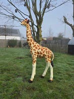 Beeld, XXL - Giraffe - 186 cm - mgo - 2026