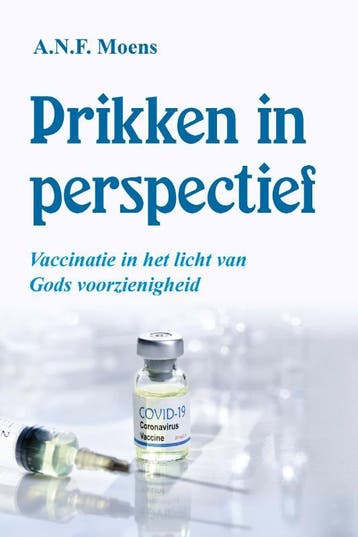 Prikken in perspectief 9789087184902 A.N.F. Moens, Verzenden, A.N.F. Moens