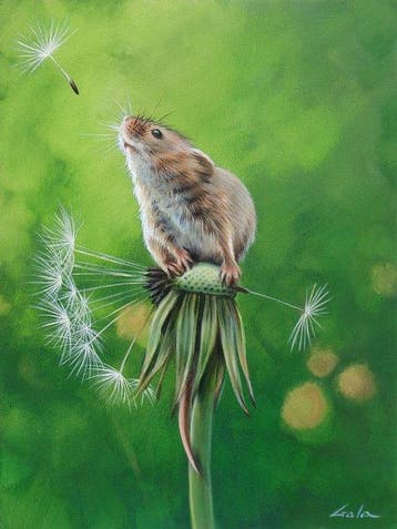 Gala - Mouse painting ~ Dandelion ~