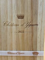 2022 Château dYquem - Sauternes 1er Cru Supérieur - 1 Fles, Collections