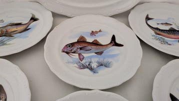 Seltmann Bavaria Vohenstrauss - Serveerset voor vis (7) -