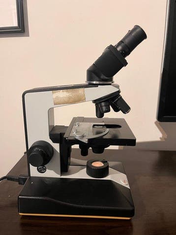 Binocular compound microscope - 110/120 - 1990-2000 -