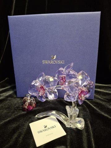 Swarovski - Martin Zendron - Figuur - Orchid - Kristal, Glas
