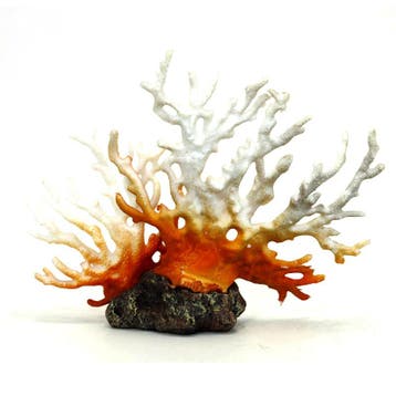 Koraal bruin en wit, kunstkoraal OS-143 - aquarium decoratie, Ophalen of Verzenden