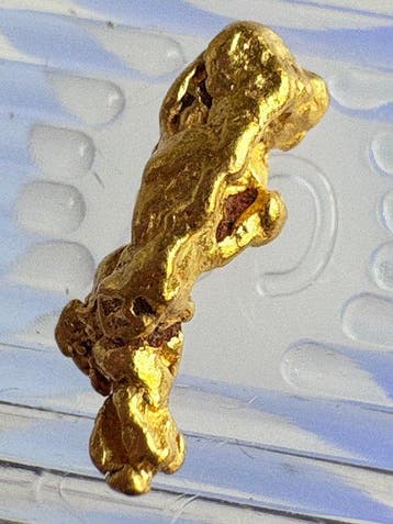 Goud Goud nugget- 0.3 g - (1), Collections