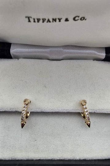 Zonder minimumprijs - Tiffany & Co. - Oorbellen - Titan - 18