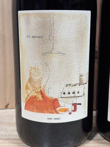 2024 Henri Chauvet Vie Ordinaire - Auvergne - 2 Flessen, Verzamelen, Nieuw