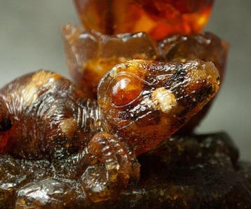 Dinosaurusbeeldje van Baltisch amber dat een amberkleurig ei