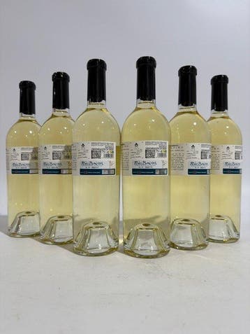 2025 Noelia Bebelia Albariño - Rias Baixas - 6 Flessen (0.75, Nieuw